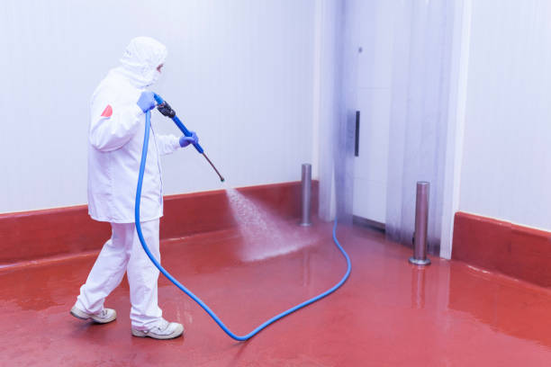 Best Post-Construction Pressure Washing  in Pearl, MS