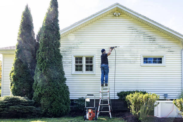  Pearl, MS Pressure Washing Pros